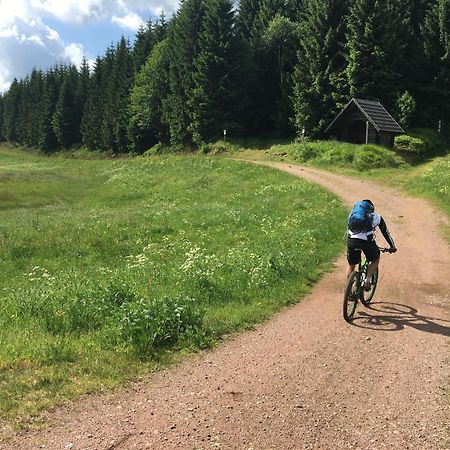 Zur Bergwiese 5 Sterne Appartementhaus Furstenau  المظهر الخارجي الصورة